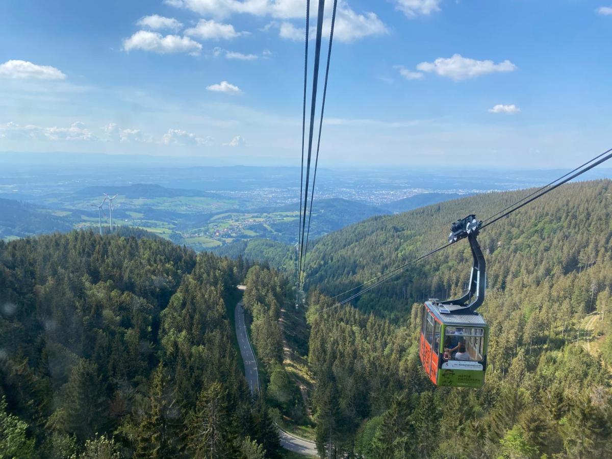 Blackforest Lounge Direkt An Der Skipiste, Ski In & Ski Out, Skischule Im Haus, Startpunkt Fuer Wanderungen Фельдберг Экстерьер фото